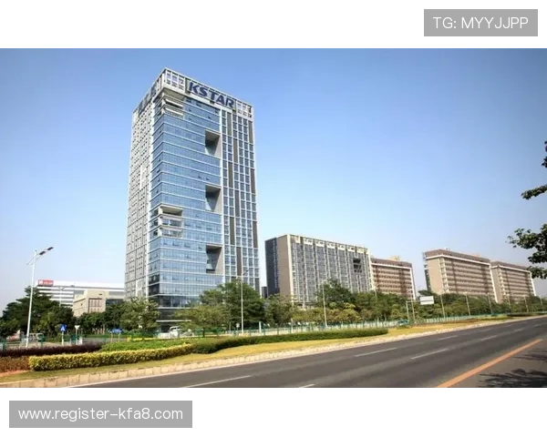 凯发k8入口安全可靠的登录方式详解确保用户账号信息安全与顺畅体验